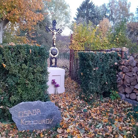Kocourov *